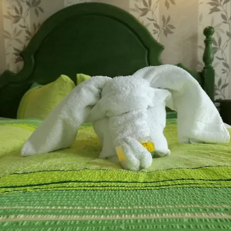 Alice Hotel 3*